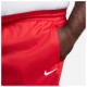Nike Ανδρικό σορτς Dri-FIT Icon+ 8'' Shorts